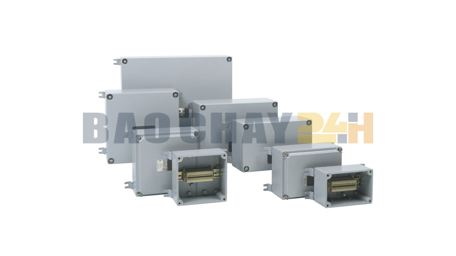BXJ8050-20/6 Hộp đấu cáp loại chống nổ chính hãng Warom