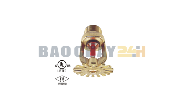 Đầu phun Sprinkler loại hướng xuống Protector