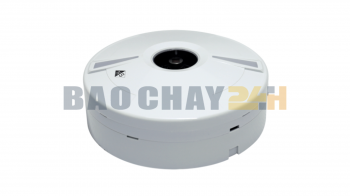 EDFS1 Đầu báo lửa hồng ngoại kép Horing