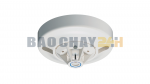 2SL-LHCW Đầu báo nhiệt gia tăng chịu nước, chống ăn mòn Nittan