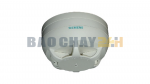 FDT181C Đầu báo nhiệt loại thường Siemens