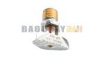 TY3388 Đầu phun Sprinkler gắn tường hướng ngang Tyco